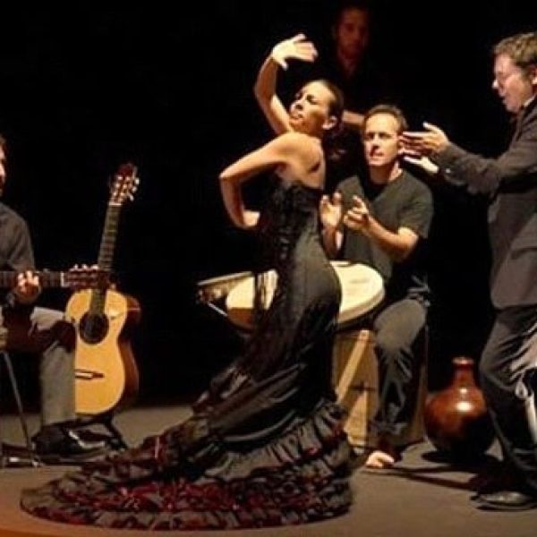 espectaculo_flamenco_granada03